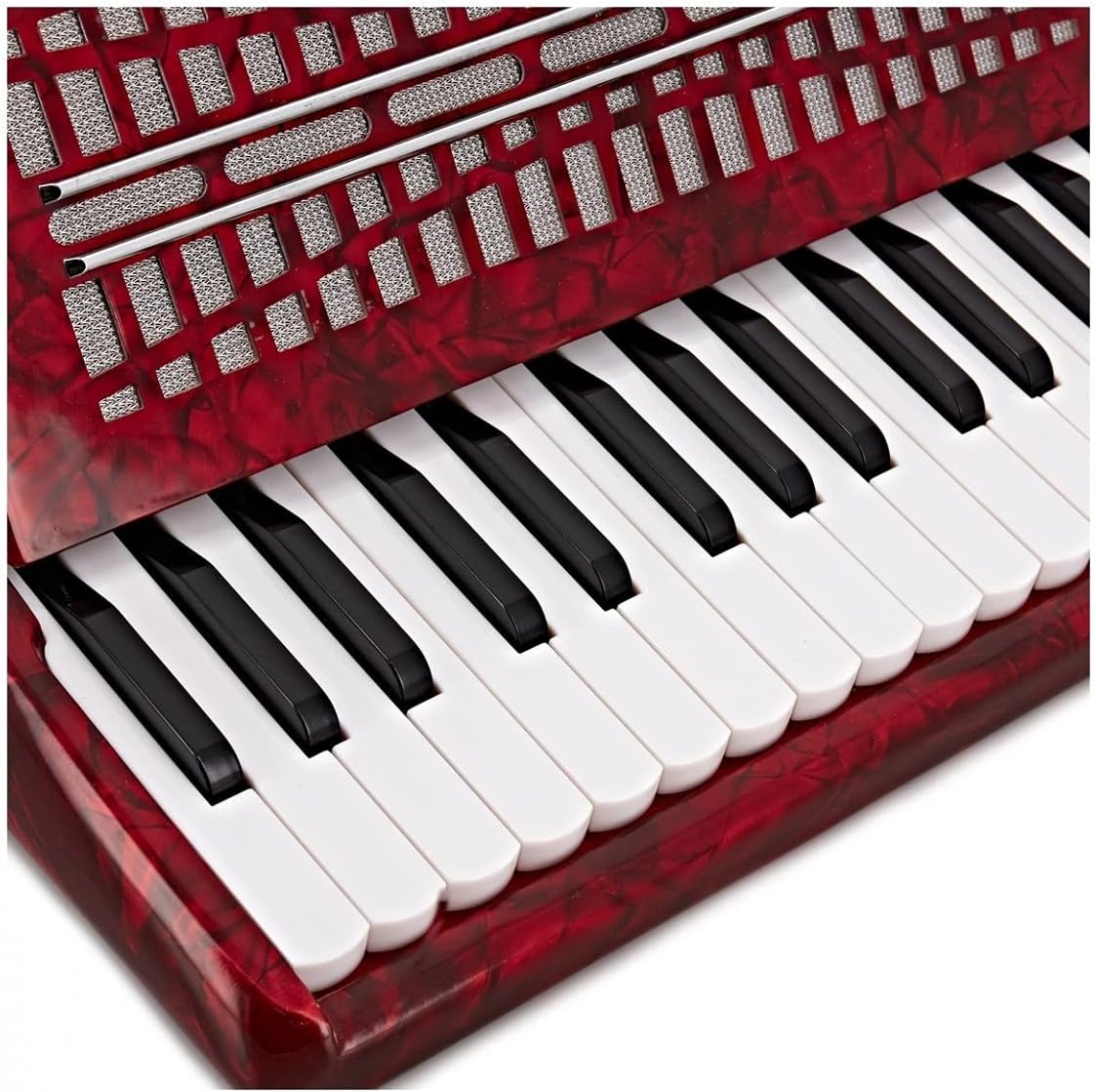 Piano Accordion with Carry Case and Shoulder Straps