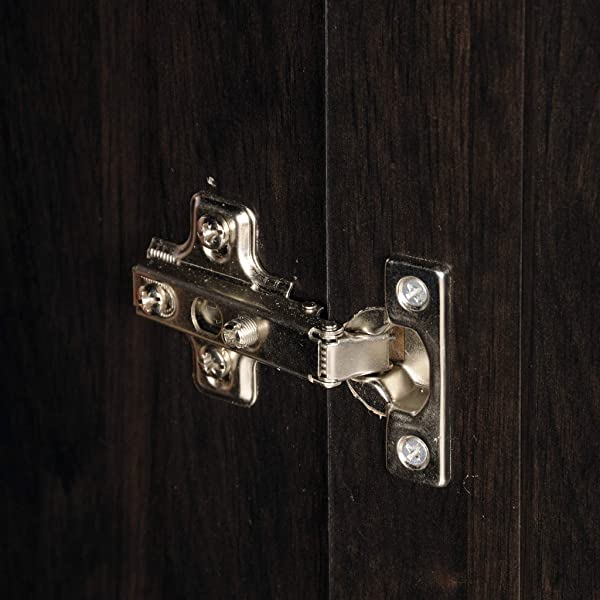 Sauder 419496 Miscellaneous Storage Storage Cabinet, L: 29.61