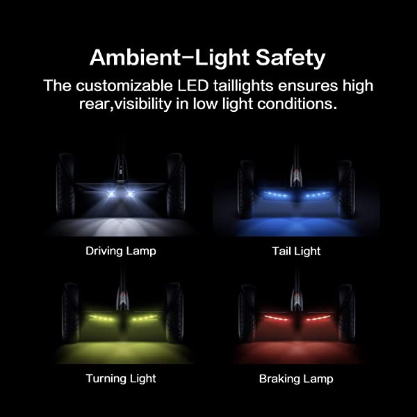 Segway Ninebot S and S-Max Smart Self-Balancing Electric Scooter with LED Light, Powerful and Portable, Compatible with Gokart kit Ninebot S, Black