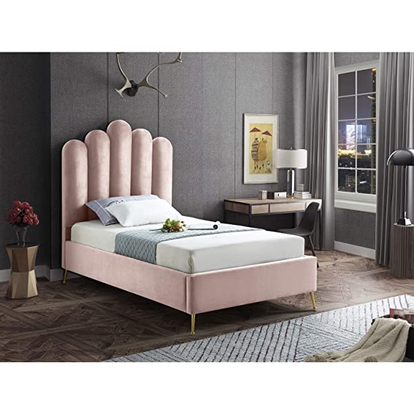 Meridian Furniture Lily Collection Modern | Contemporary Velvet Upholstered Bed with Deep Channel Tufting and Custom Gold Steel Legs, Queen, Cream Cream Queen