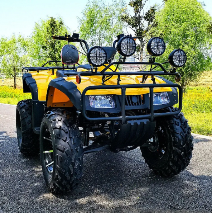 250cc Four-Wheel Drive ATV Longding Quad ATV Farmer Quad Bike